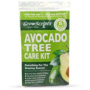 3 Month Avocado Tree Care Kit
