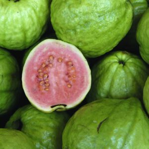 Barbie Pink Guava Tree