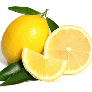 Bearss Lemon Tree - Image 5