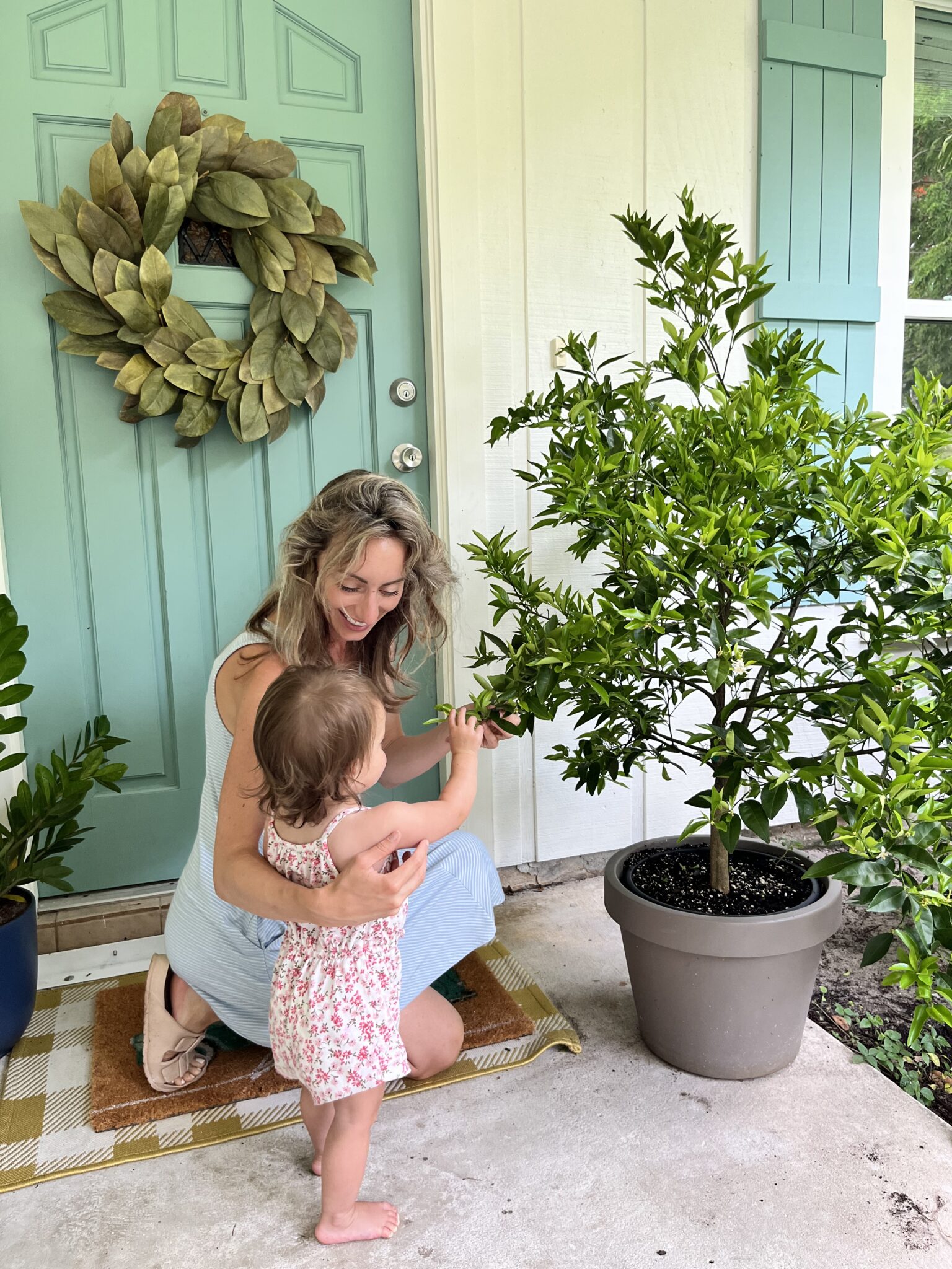 EverPotâ„¢ Air Pruning Pot - Image 3