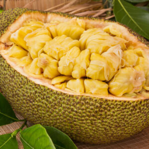 Papi Jackfruit Tree